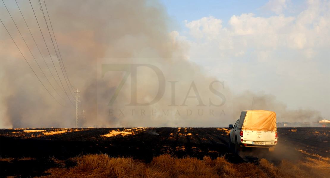 REPOR - Un incendio forestal cercano a Badajoz arrasa varias hectáreas