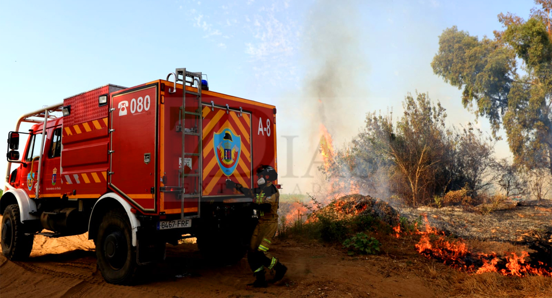 REPOR - Un incendio forestal cercano a Badajoz arrasa varias hectáreas