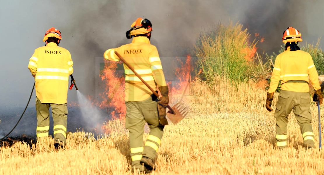 REPOR - Un incendio forestal cercano a Badajoz arrasa varias hectáreas