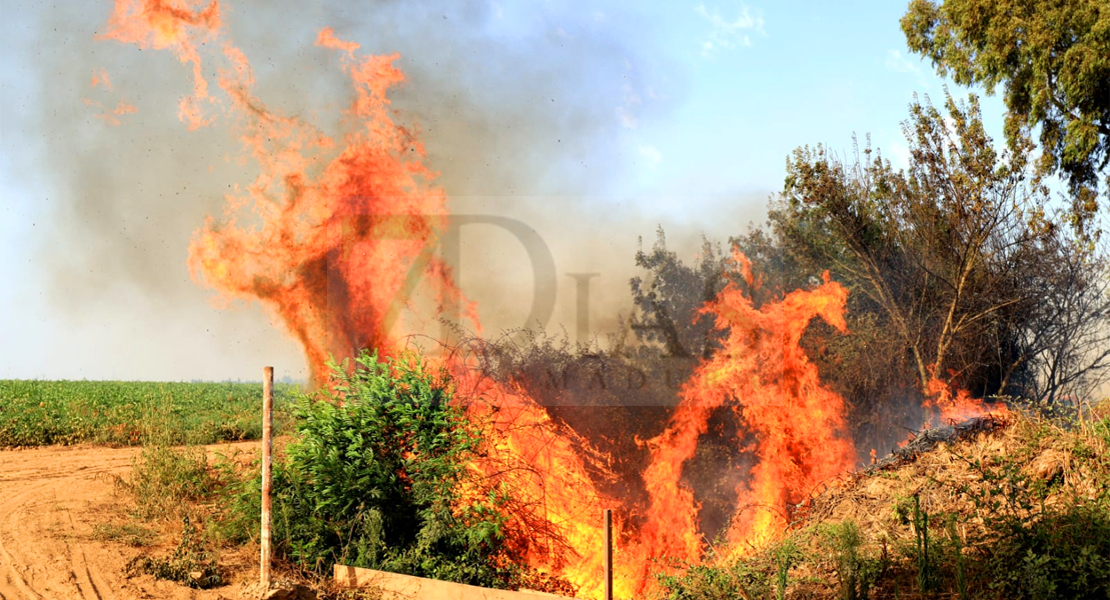 REPOR - Un incendio forestal cercano a Badajoz arrasa varias hectáreas