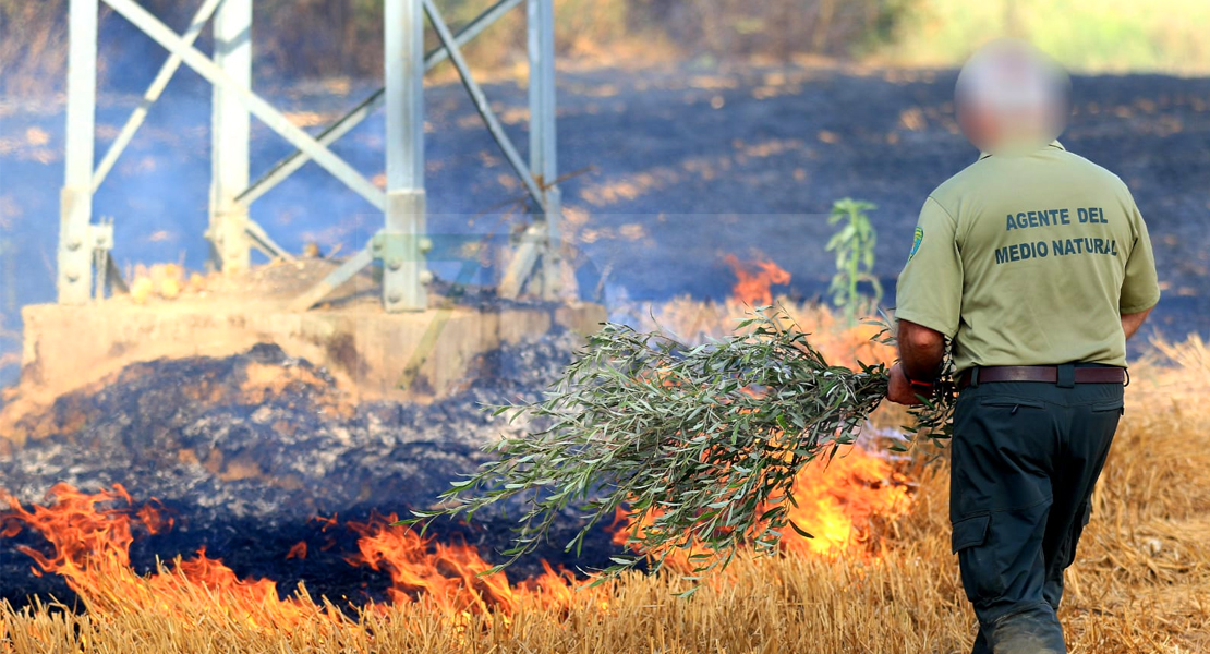 REPOR - Un incendio forestal cercano a Badajoz arrasa varias hectáreas