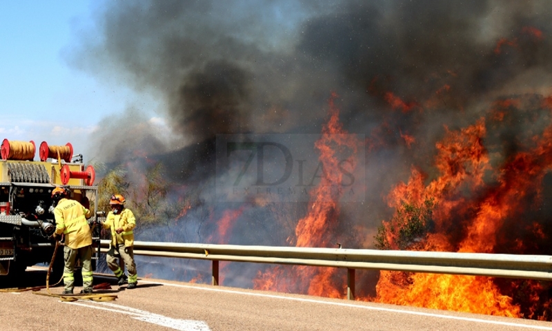 Bomberos Forestales intentan controlar un incendio en la Sierra Amador (Oliva de Mérida)