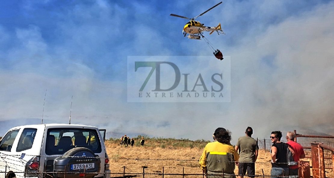 Un total de 600 hectáreas han ardido esta semana en Extremadura en 29 incendios forestales