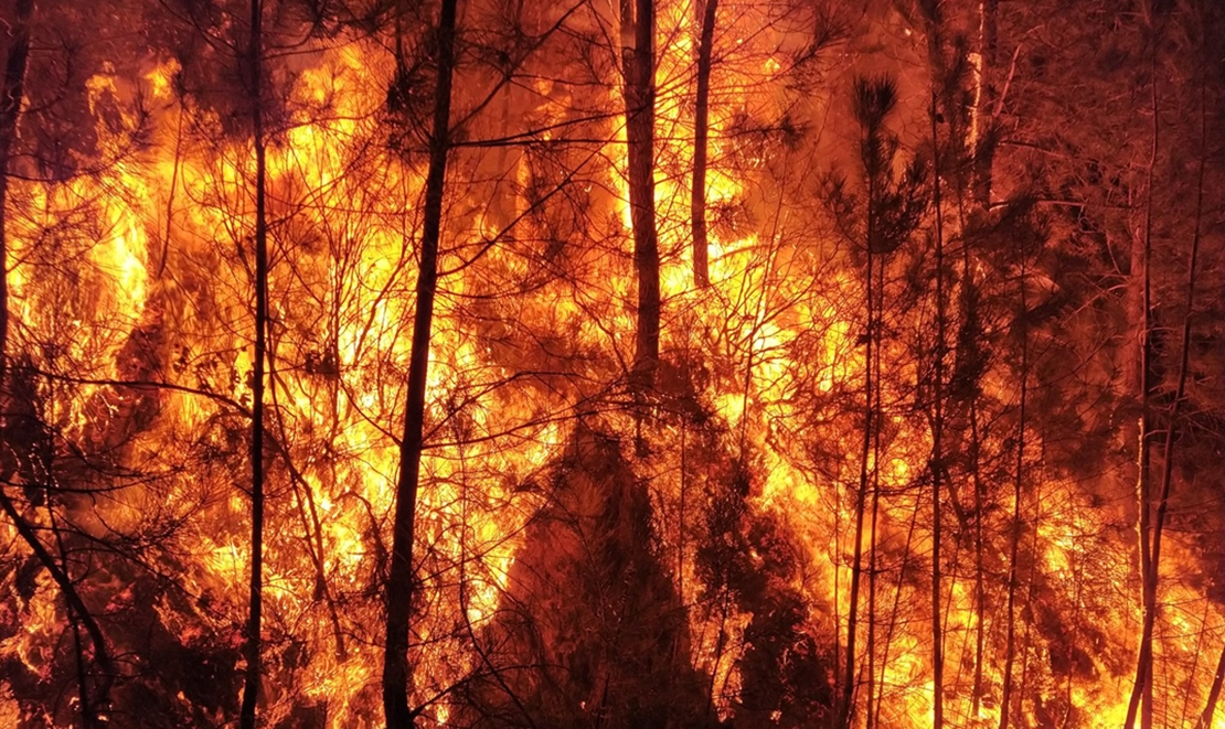 Desalojan 120 personas de dos pedanías de Las Hurdes por un incendio forestal