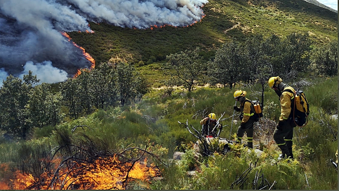 Destacan el gran trabajo realizado por el dispositivo del Infoex en los incendios en el Norte de Cáceres