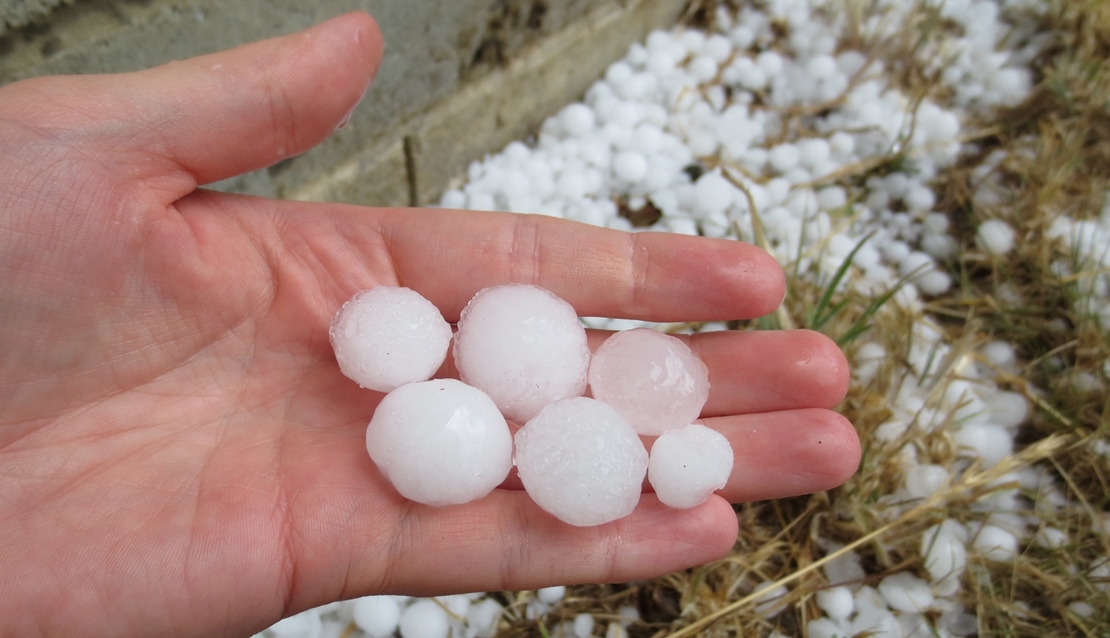 Valoran las zonas de cultivo dañadas por el granizo en Vegas Altas