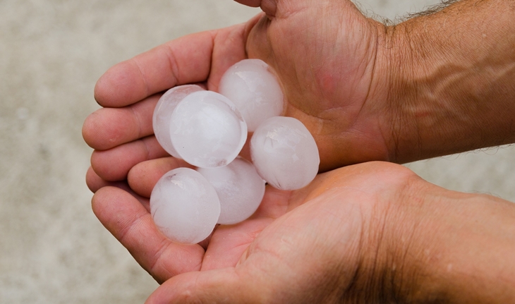 El granizo ha afectado a 700 hectáreas de cultivo en la zona de Coria