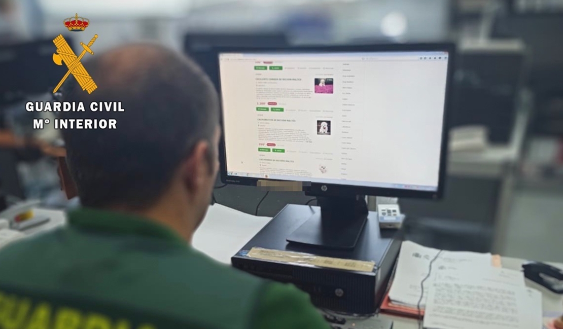 La Guardia Civil cacereña desarticula un grupo criminal dedicado a las estafas online