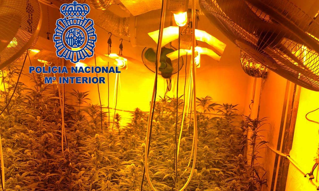 La Policía Nacional desmantela una plantación “indoor” de marihuana con 200 plantas
