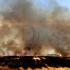 REPOR - Un incendio forestal cercano a Badajoz arrasa varias hectáreas