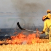 REPOR - Un incendio forestal cercano a Badajoz arrasa varias hectáreas