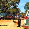 Encuentran al vecino desaparecido en Deleitosa (Cáceres)