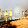 REPOR - Un incendio forestal cercano a Badajoz arrasa varias hectáreas
