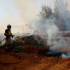 REPOR - Un incendio forestal cercano a Badajoz arrasa varias hectáreas