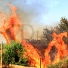 REPOR - Un incendio forestal cercano a Badajoz arrasa varias hectáreas