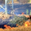 REPOR - Un incendio forestal cercano a Badajoz arrasa varias hectáreas