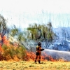 Un incendio alerta a los vecinos de la zona sur de Badajoz