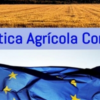 ESPAÑA - PAC: 679.000 agricultores y ganaderos recibirán 5.000 millones €