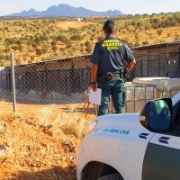 FEDEXCAZA se persona como acusación particular por la muerte de 25 perros en Puebla de la Reina