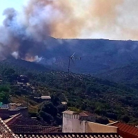 Bomberos Forestales luchan contra las llamas en un incendio en Castañar de Ibor (Cáceres)