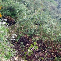 La Guardia Civil rescata a dos senderistas en el Valle del Ambroz (Cáceres)