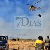 Un total de 600 hectáreas han ardido esta semana en Extremadura en 29 incendios forestales