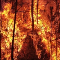 Desalojan a 120 personas de dos pedanías de Las Hurdes por un incendio forestal