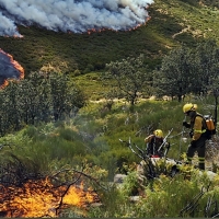 Destacan el gran trabajo realizado por el dispositivo del Infoex en los incendios en el Norte de Cáceres