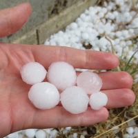 Valoran las zonas de cultivo dañadas por el granizo en Vegas Altas