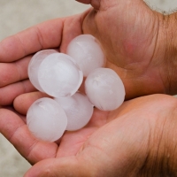 El granizo ha afectado a 700 hectáreas de cultivo en la zona de Coria