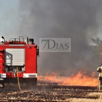Incendio en la carretera de Olivenza (Badajoz)