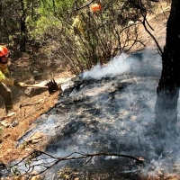 Extremadura perdió 700 hectáreas en 23 incendios durante la pasada semana