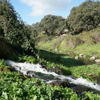 Promedio ejecutará 20 depuradoras de aguas residuales hasta 2023