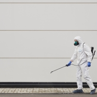 Primera víctima mortal del virus del Nilo