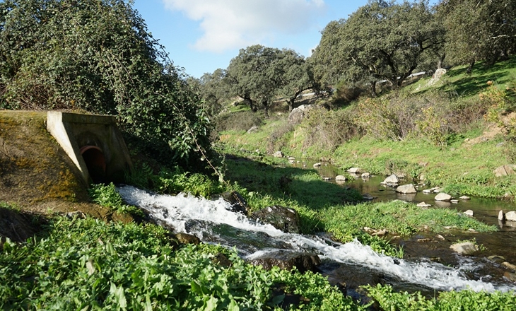 Promedio ejecutará 20 depuradoras de aguas residuales hasta 2023