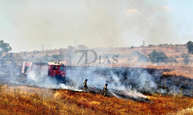 Un incendio alerta a los vecinos de la zona sur de Badajoz