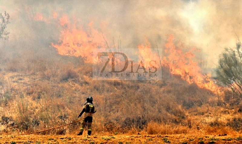 Un incendio alerta a los vecinos de la zona sur de Badajoz