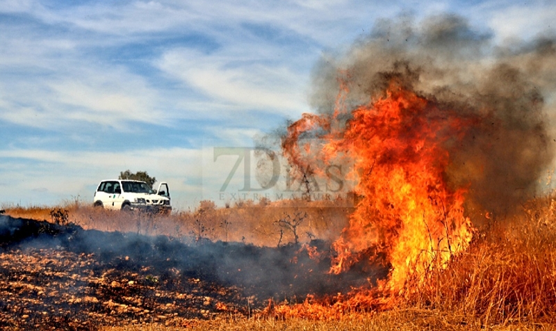 Un incendio alerta a los vecinos de la zona sur de Badajoz