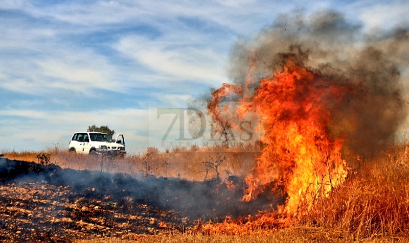 Un incendio alerta a los vecinos de la zona sur de Badajoz