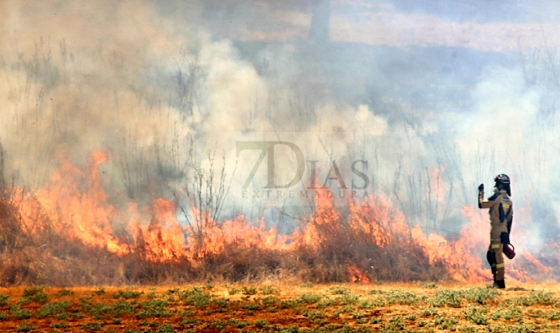 Un incendio alerta a los vecinos de la zona sur de Badajoz