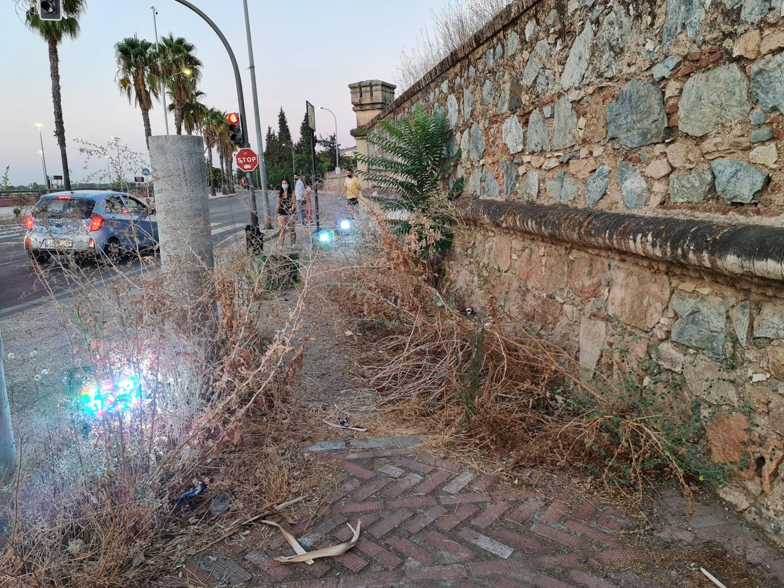 VOX solicita limpiar la zona amurallada del semibaluarte de Puerta de Palmas en Badajoz