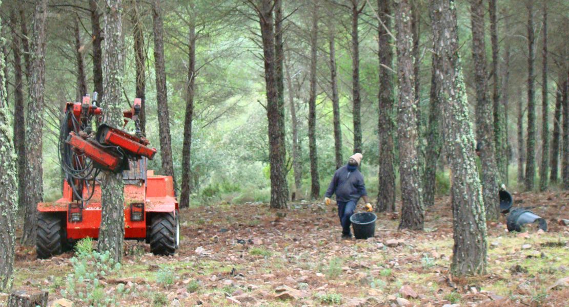 6 millones de euros para incrementar el valor de productos forestales e invertir en tecnología forestal