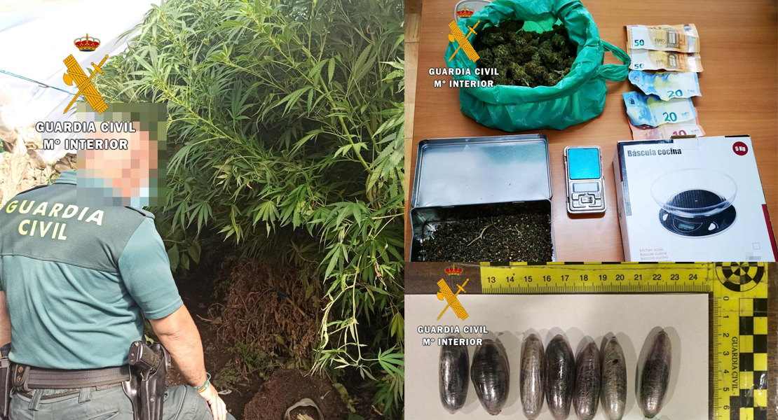 La Guardia Civil actúa contra el tráfico de drogas en varios puntos de la provincia de Cáceres