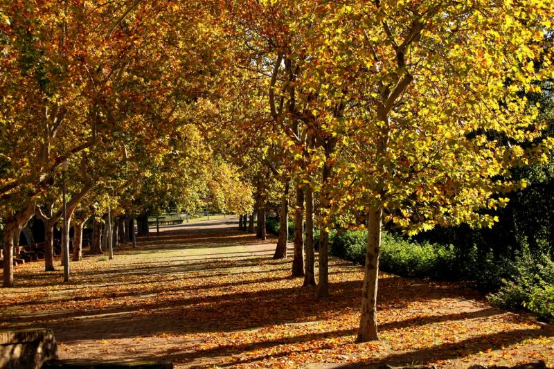 Adiós al verano: este martes damos la bienvenida al otoño