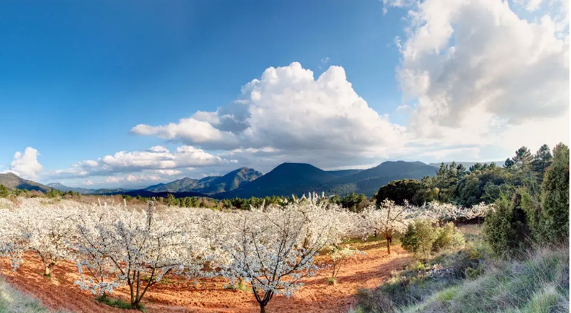 El Valle del Jerte entre las 10 maravillas naturales en España