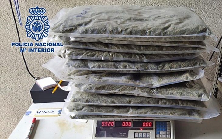 Desarticulada una organización criminal dedicada al tráfico internacional de marihuana