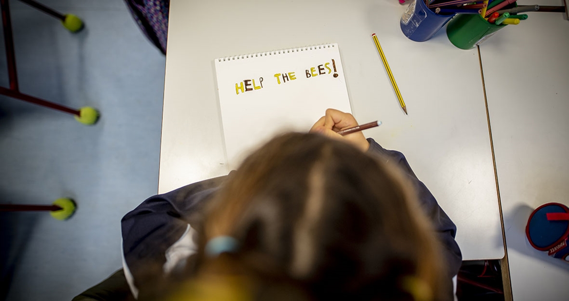 Los docentes Naturaliza de Extremadura vuelven a las aulas