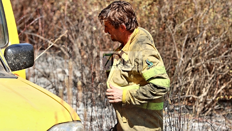 Incendio forestal entre La Roca de la Sierra y Villar del Rey