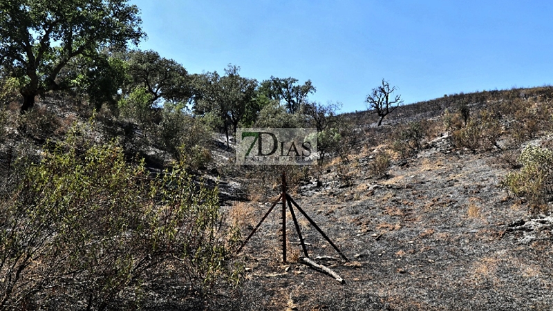 Incendio forestal entre La Roca de la Sierra y Villar del Rey