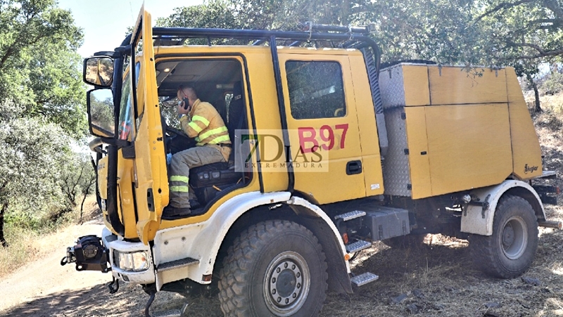 Incendio forestal entre La Roca de la Sierra y Villar del Rey